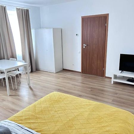 Stone Apartment - Free Parking Katowice Buitenkant foto