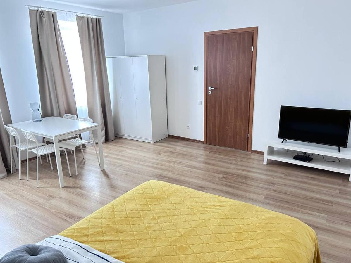 Stone Apartment - Free Parking Katowice Buitenkant foto